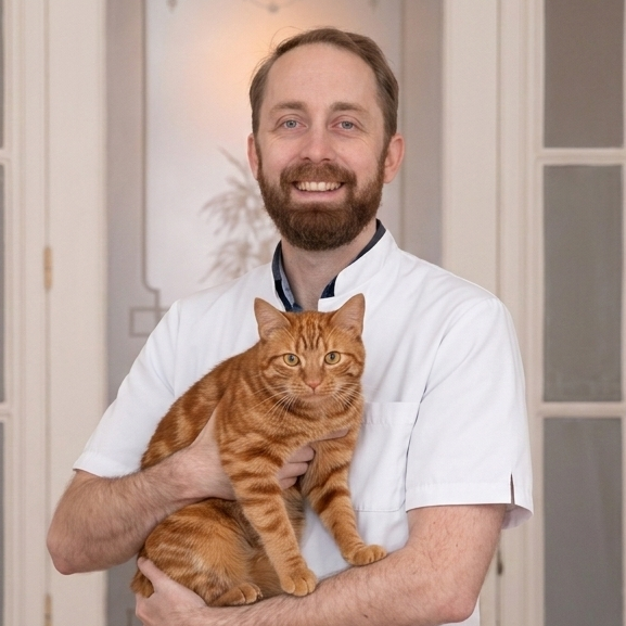 Gemini_Generated_Image_ocz5cnocz5cnocz5