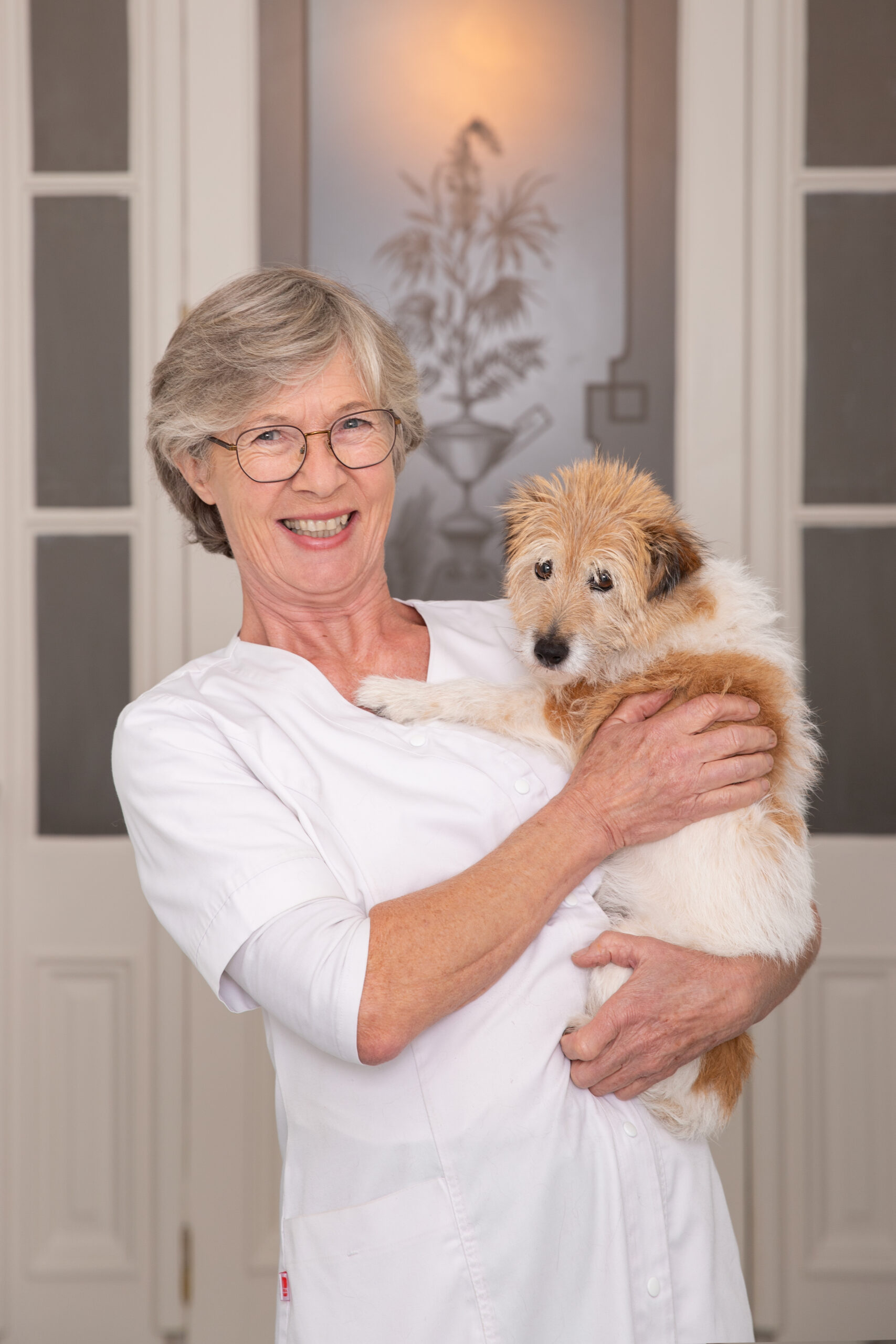 Pijnappel_origineel_07